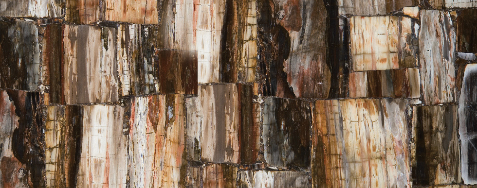 8331 Legno