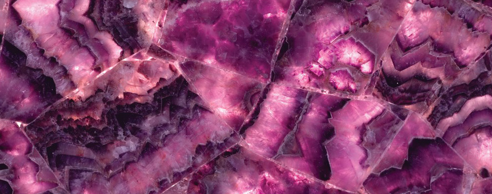 8551 Viola